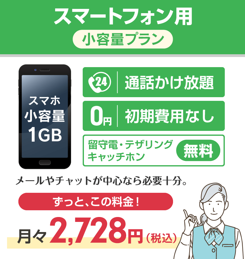 スマートフォン用小容量プラン1GB