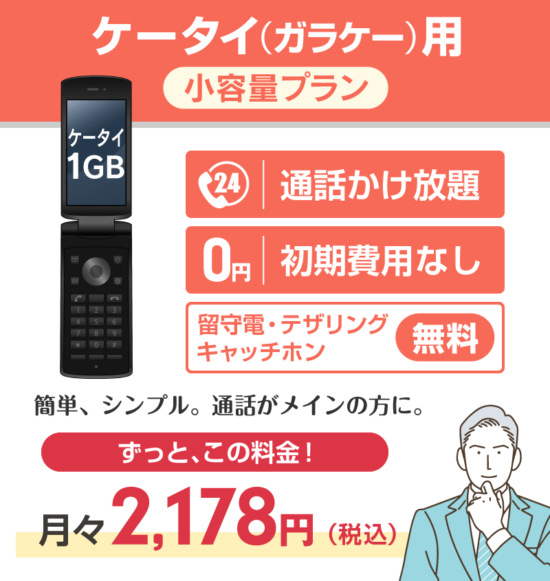 ケータイ（ガラケー）用小容量プラン1GB