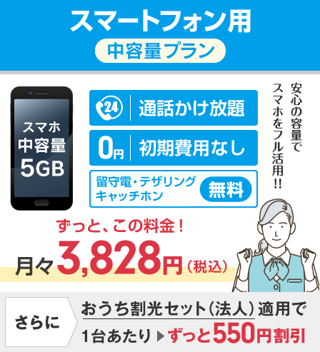 スマートフォン用中容量プラン5GB