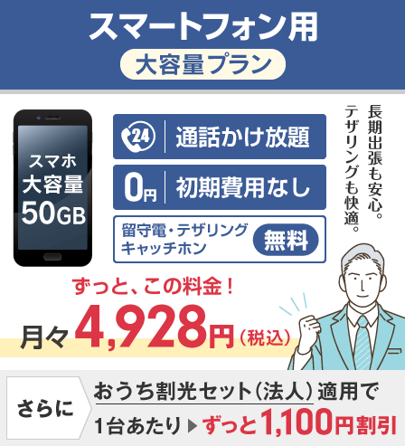 スマートフォン用大容量プラン50GB