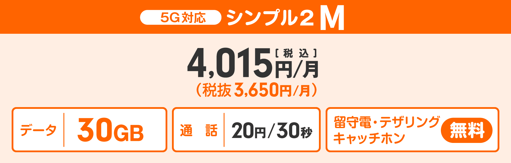 ワイモバイル法人向け「シンプルM」プラン料金表